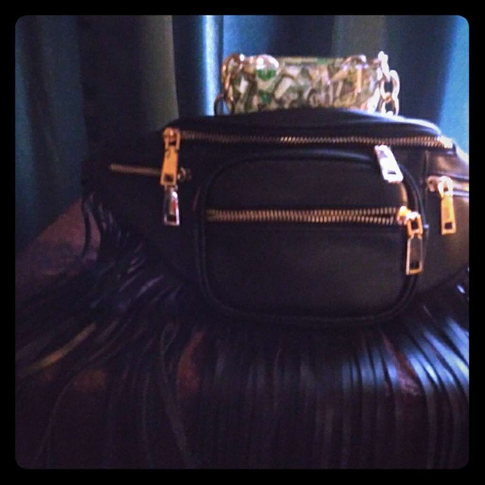Fanny pack